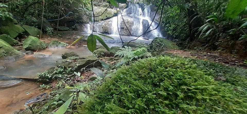 Hiking