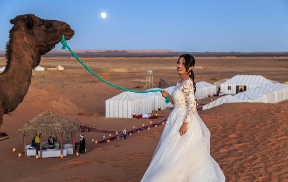 Day, People, Natural landscape, Animals, group of guests, wedding