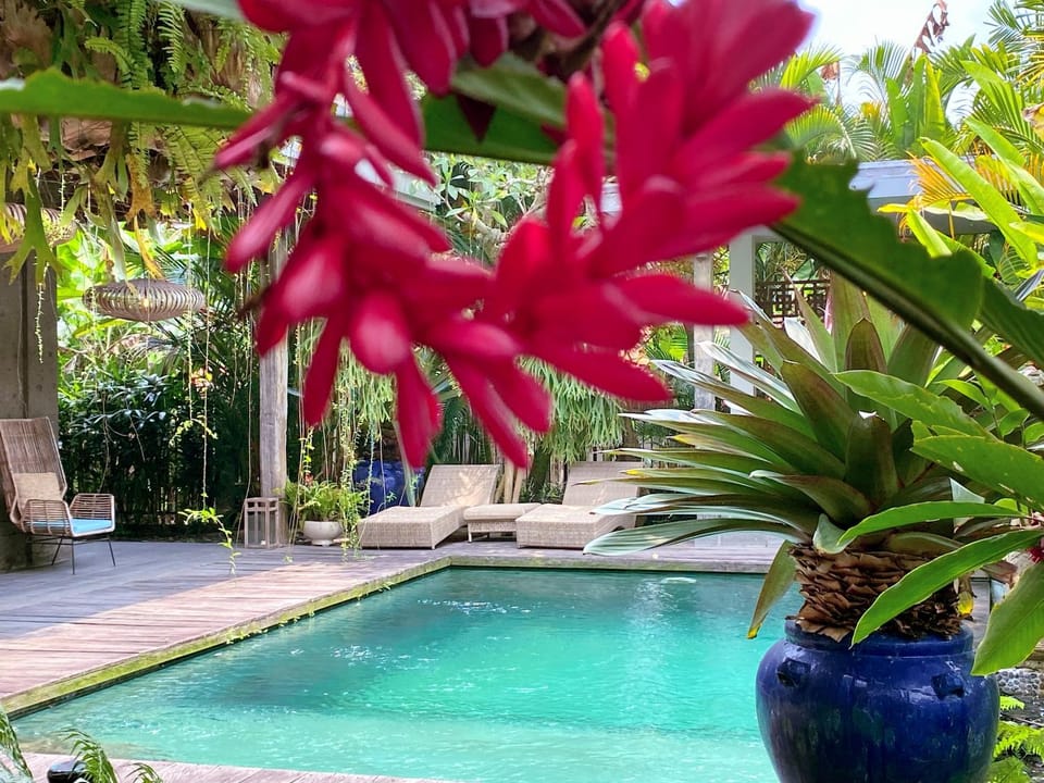 Ubud Moonlight house 烏布月光之家 Villa in Ubud