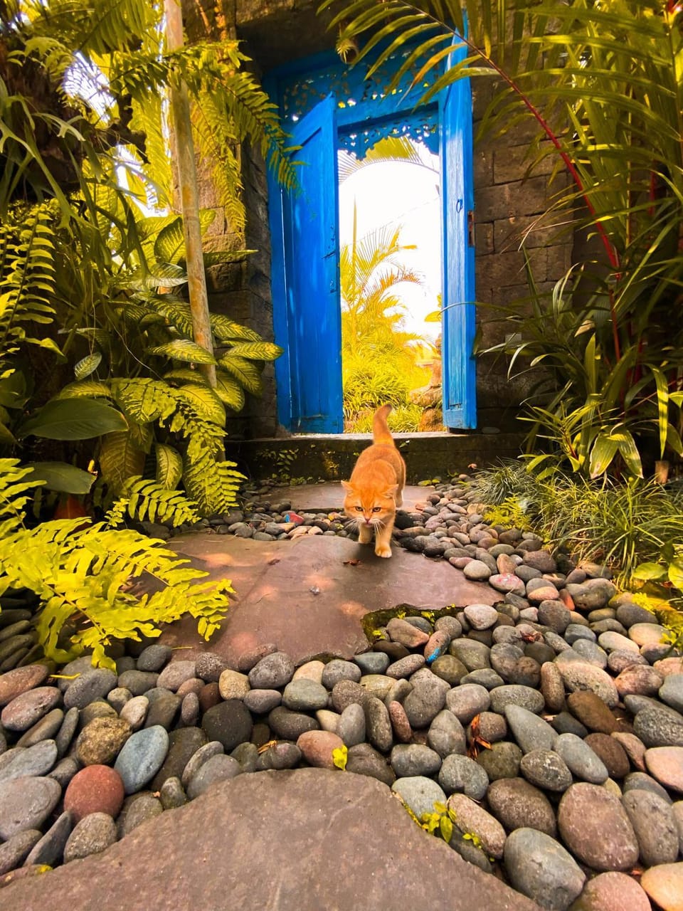 Ubud Moonlight house 烏布月光之家 Villa in Ubud