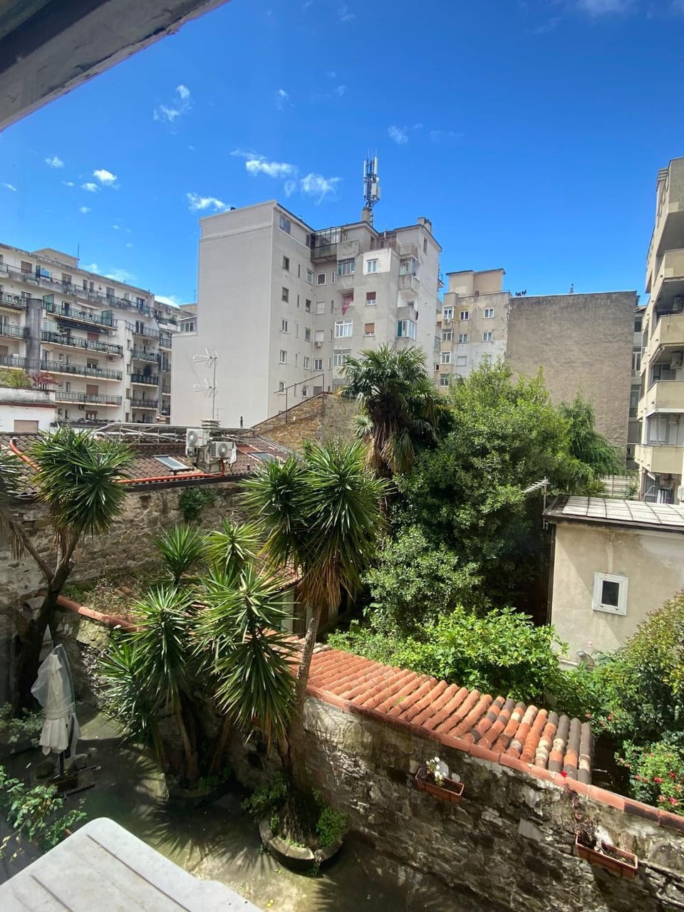City view, Garden view