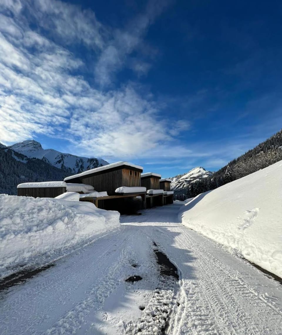 CHALET Un Coin de Paradis Apartment in Châtel