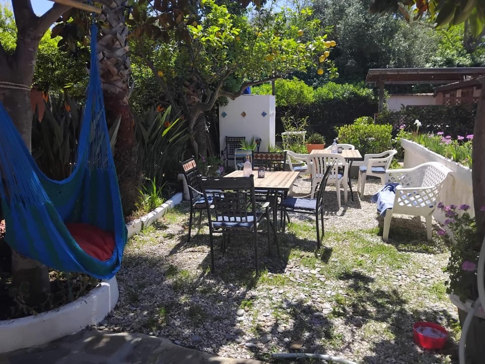 Patio, Day, Garden, Dining area, Garden view