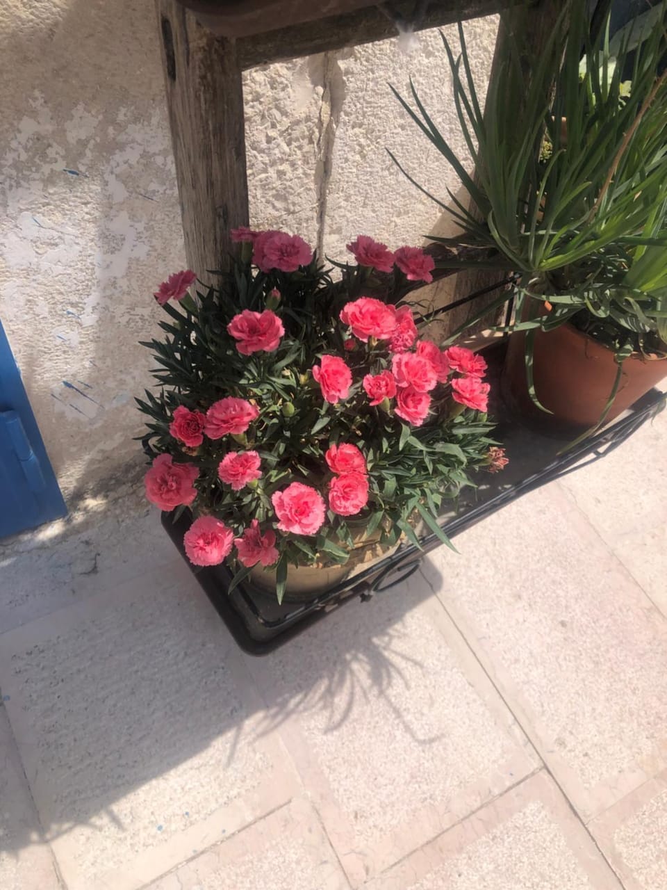 Spring