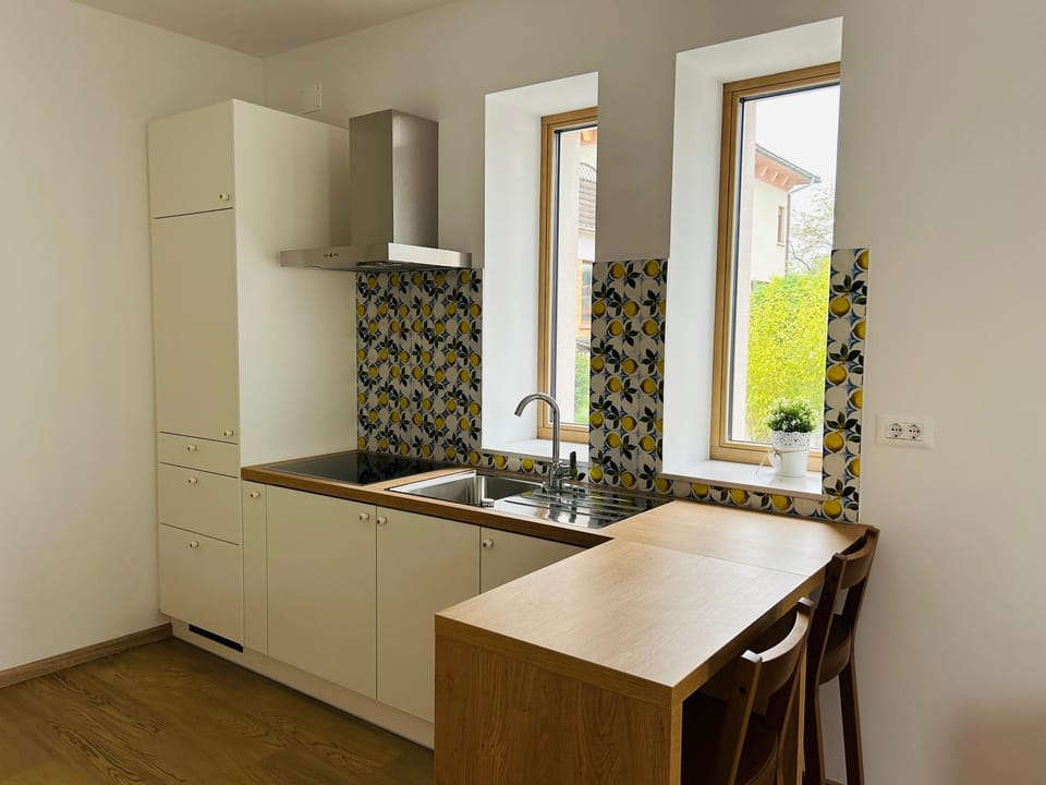 Kitchen or kitchenette, Dining area, stove