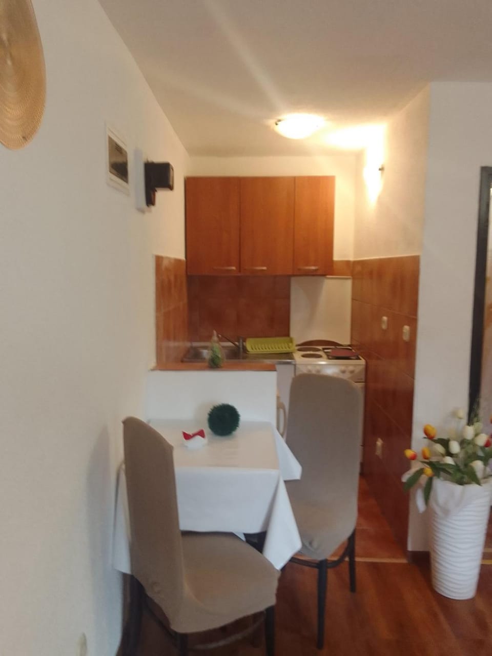 Sapienti Sat Apartment in Pula