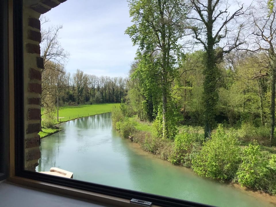 River view