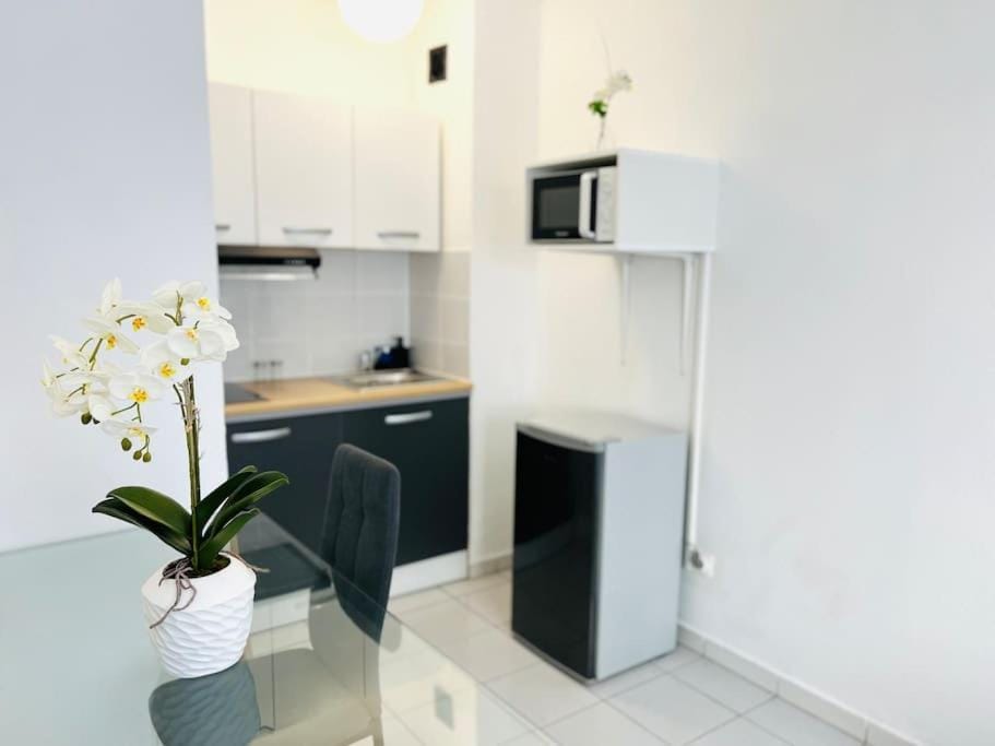 Serenity - Tuit Tuit Apartment in Saint-Denis