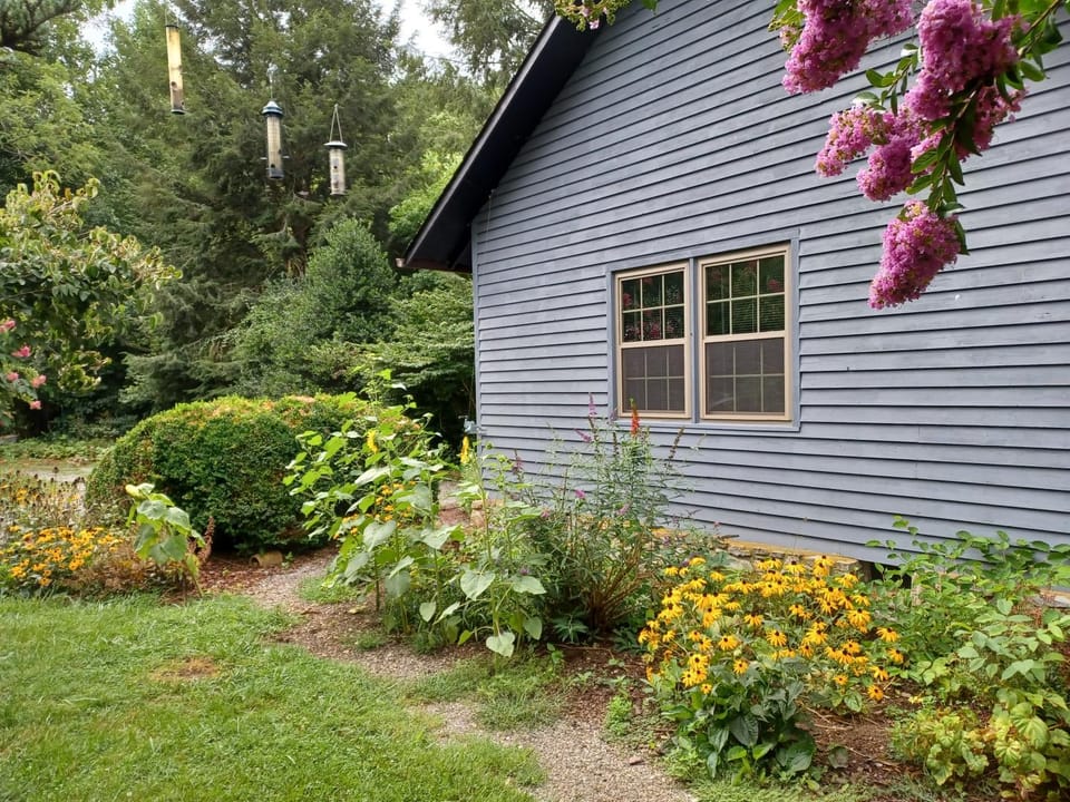 Garden, Garden