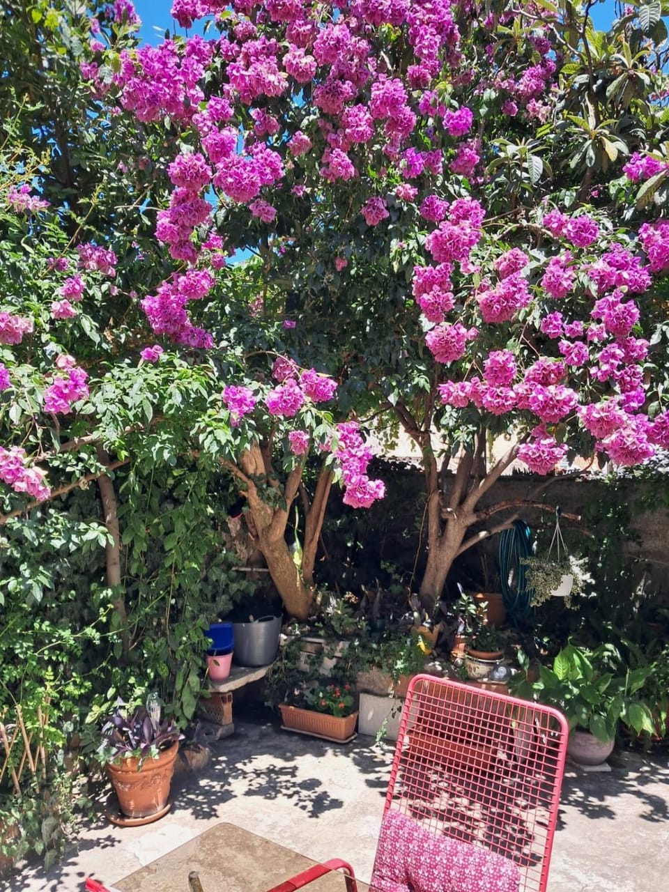 Old Town Green Oasis House Apartment in Dubrovnik