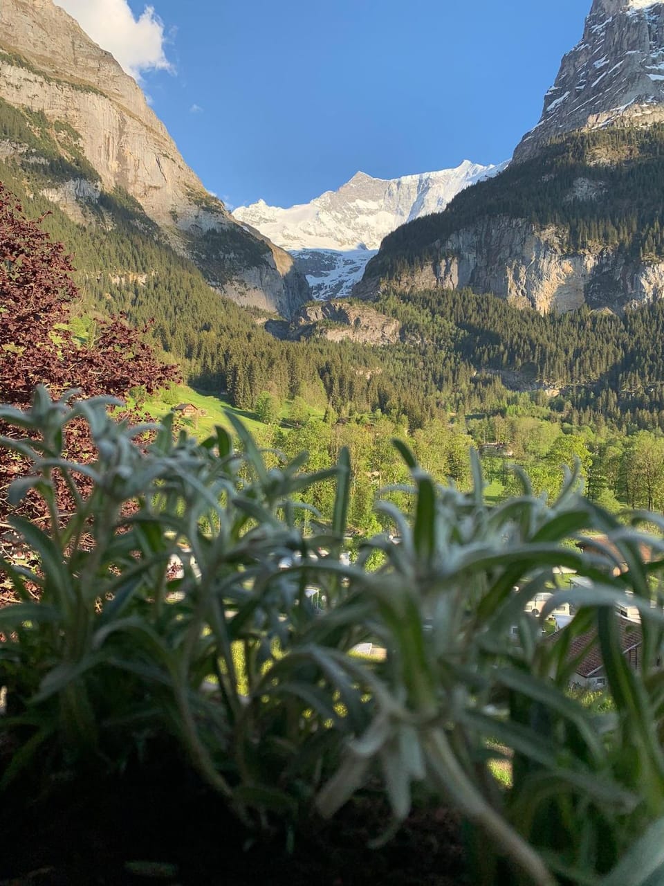 Mountain view