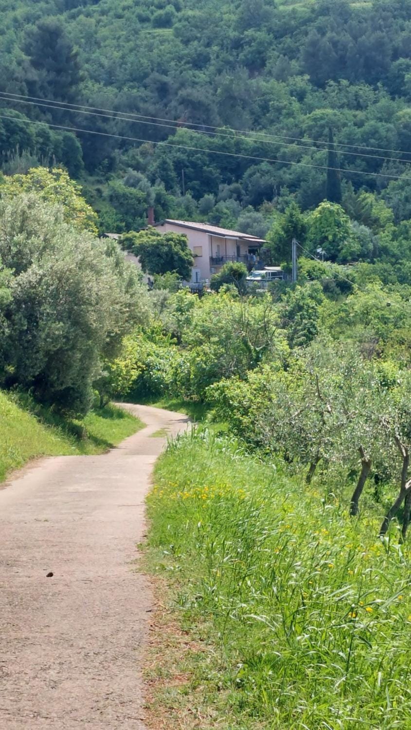 Day, Natural landscape