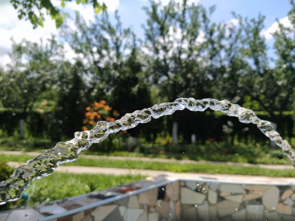 Day, Garden, Garden view