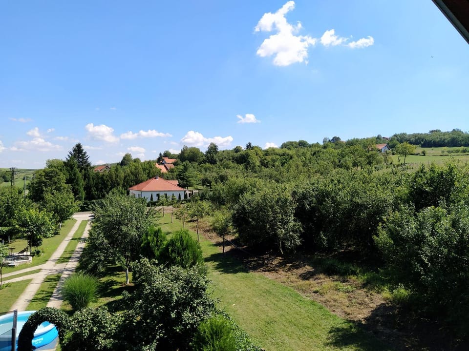 Spring, Day, Garden view