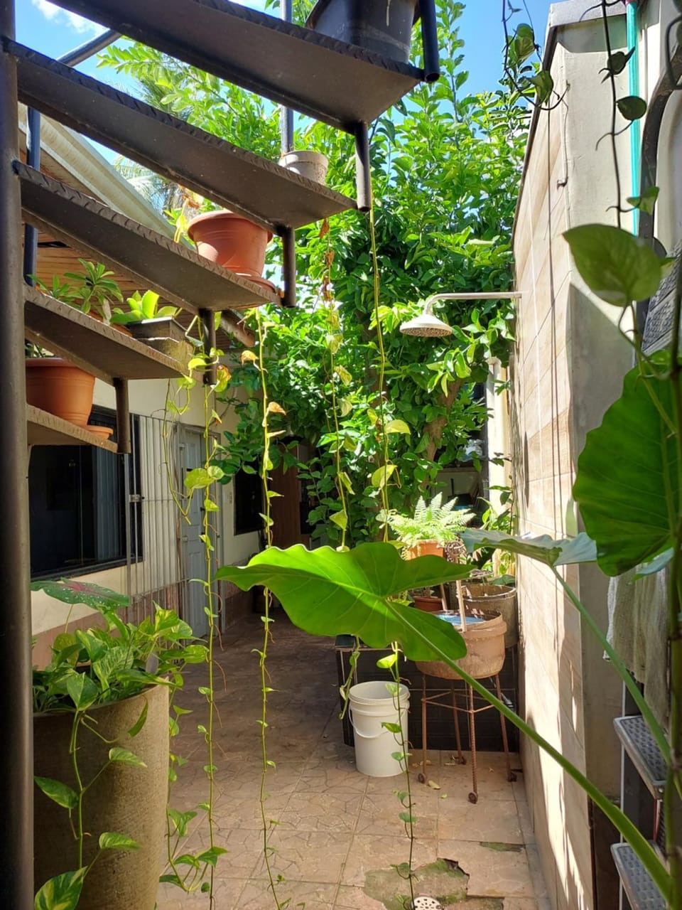 Balcony/Terrace, Balcony/Terrace