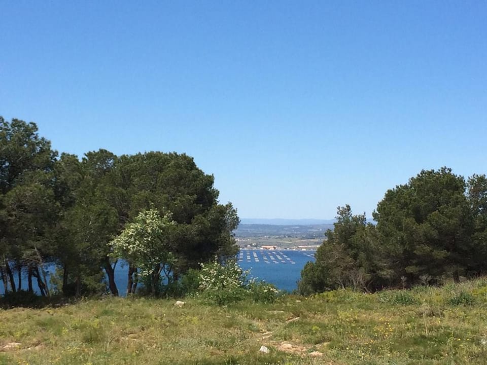 Bel Appartement T4 à Sète avec Terrasse, Climatisation et Parking Privé - FR-1-338-571 Apartment in Occitanie