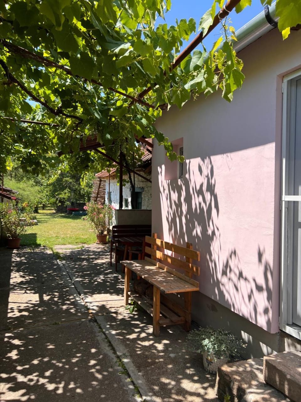 Garden view