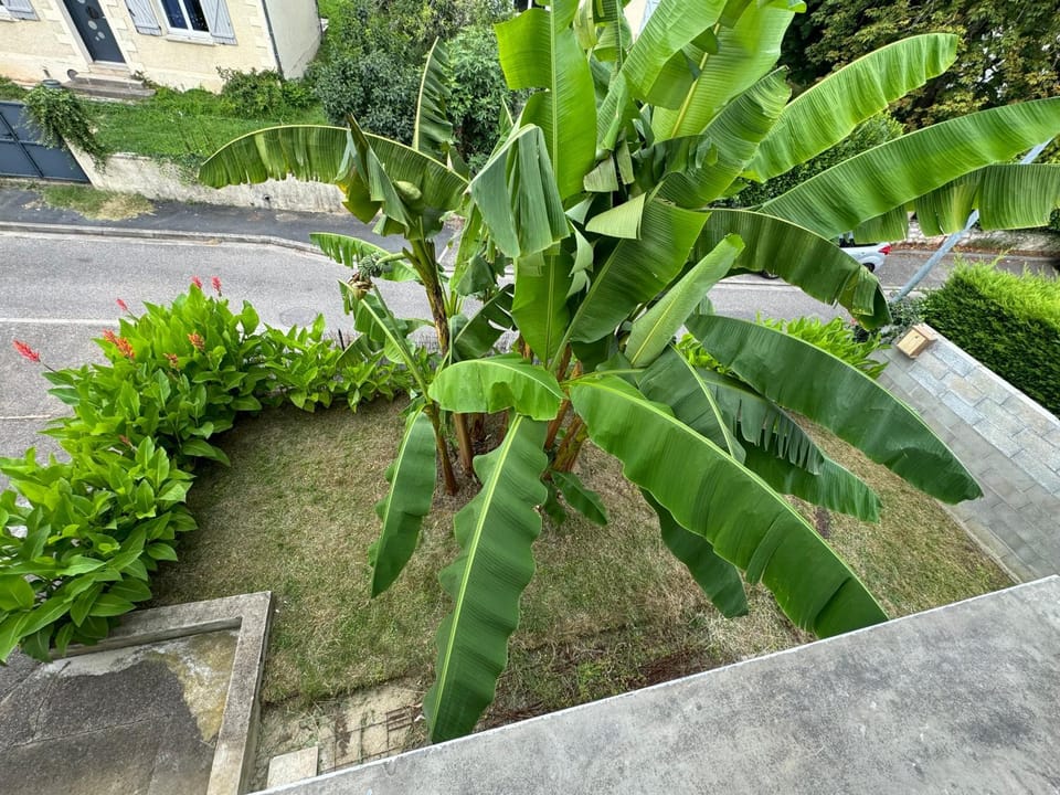 Garden, Garden view