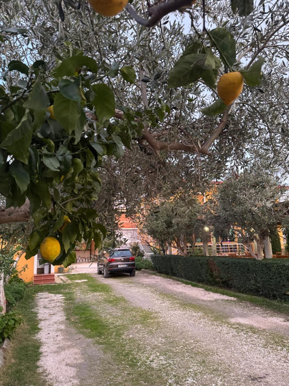 Natyra Rooms Zvernec Bed and Breakfast in Vlorë County, Albania
