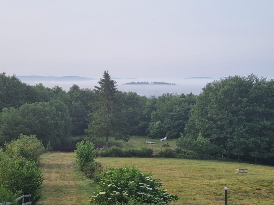 Garden view