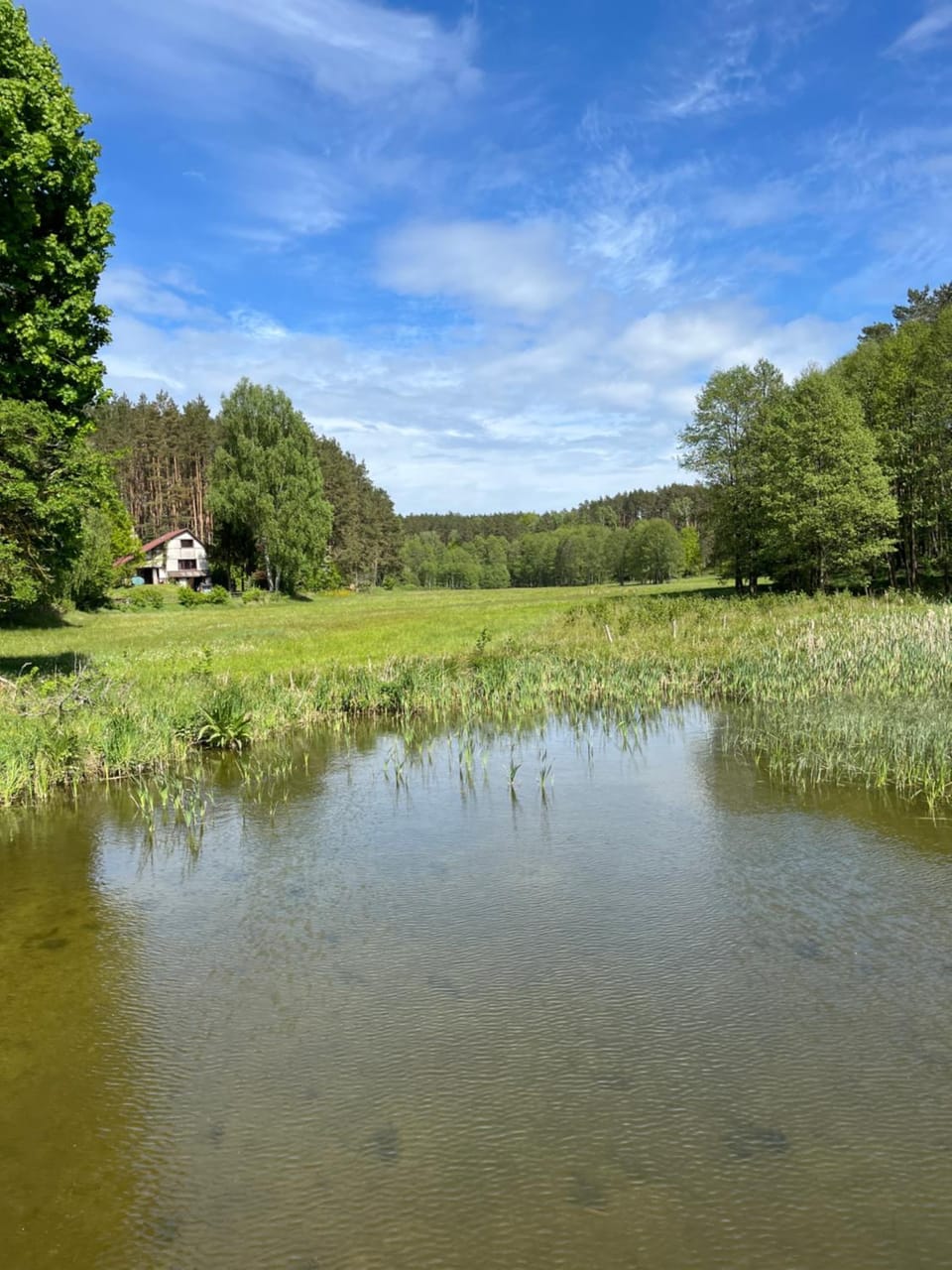 Dom w lesie nad jeziorem Kaszuby - Gniazdo House in Pomeranian Voivodeship