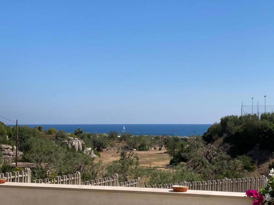 Sea view