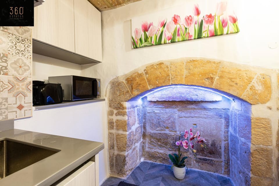 Kitchen or kitchenette, flat iron, minibar, pet friendly, stove