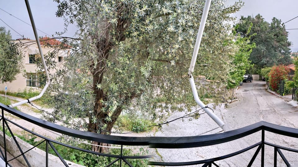 Spring, Neighbourhood, Garden, Balcony/Terrace, Garden view