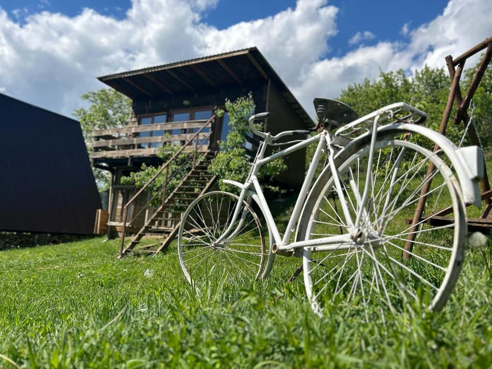 Cabana Alexa Tășnad Nature lodge in Romania
