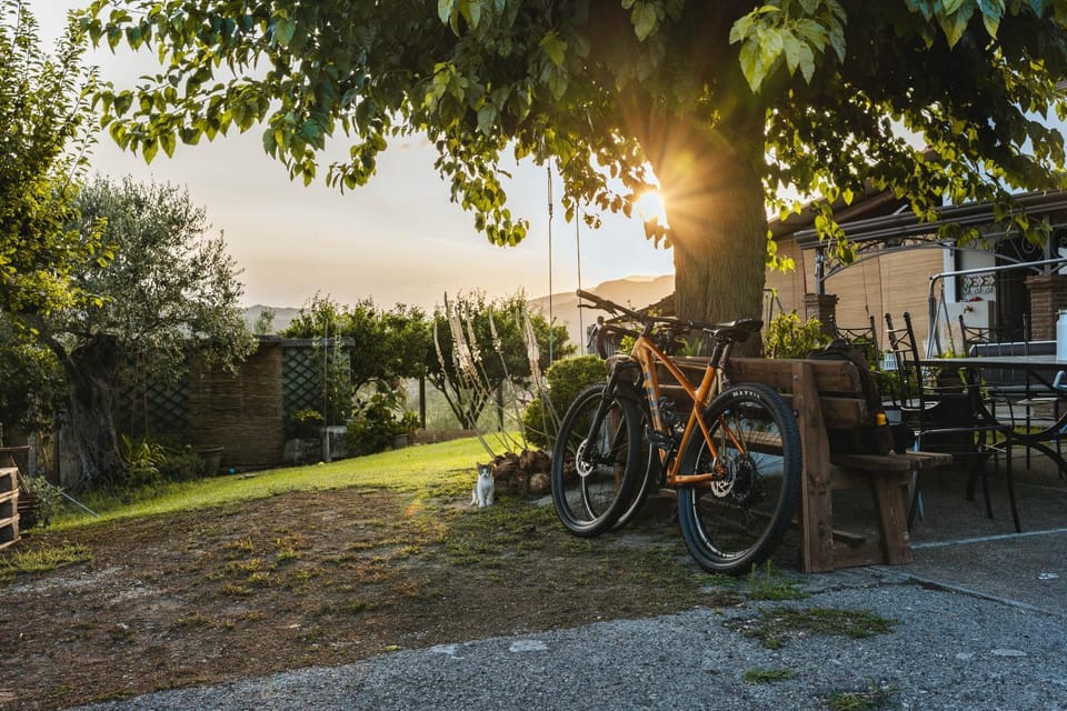Sentiero Degli Ulivi Mascia Bed and Breakfast in Campania