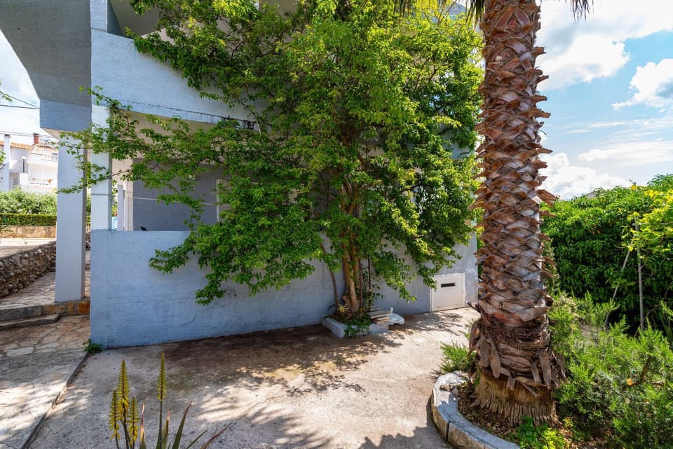 Property building, Day, Garden