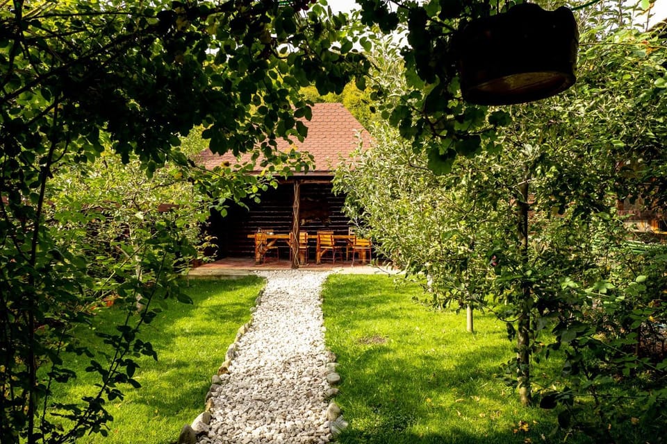 Day, Natural landscape, Garden, Garden view