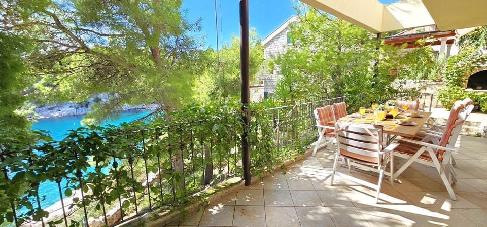 Patio, Garden, View (from property/room)