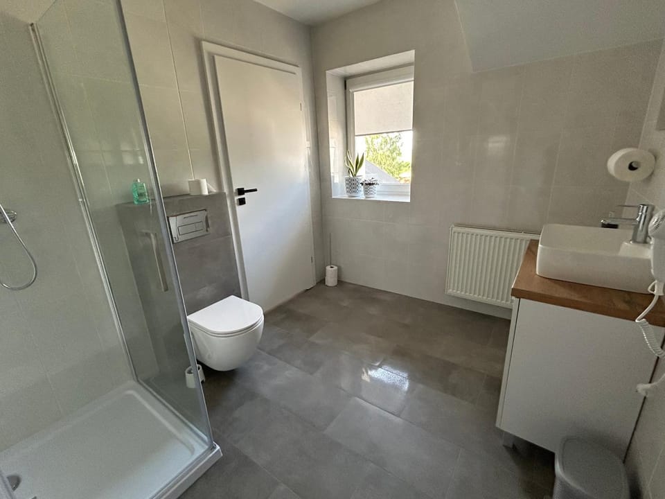 Toilet, Bathroom, hair dryier