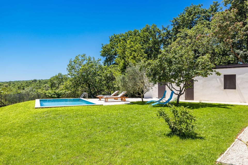 Patio, Garden, Garden view
