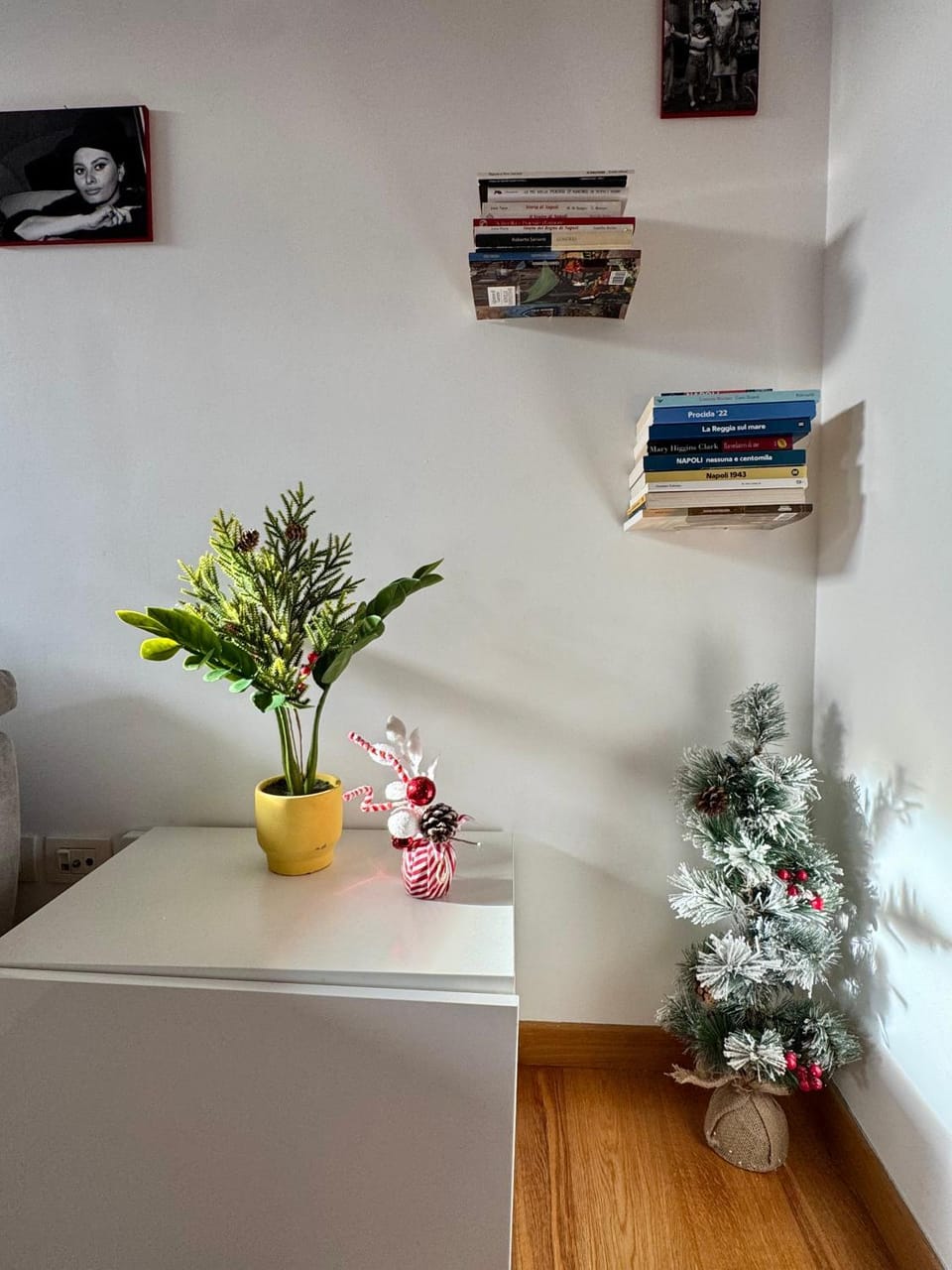 Loren House Apartment in Naples