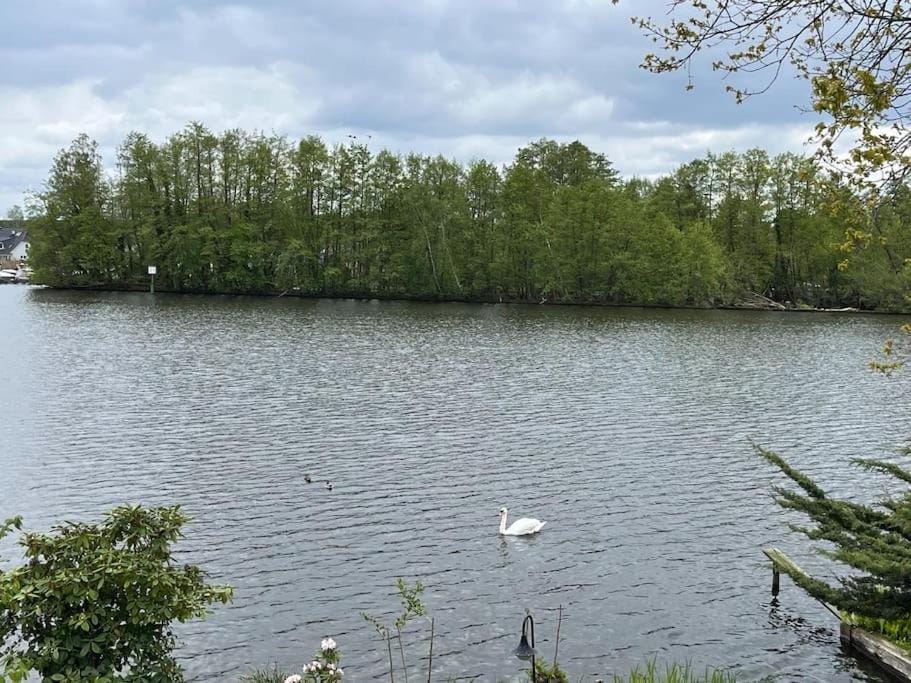 Lake view