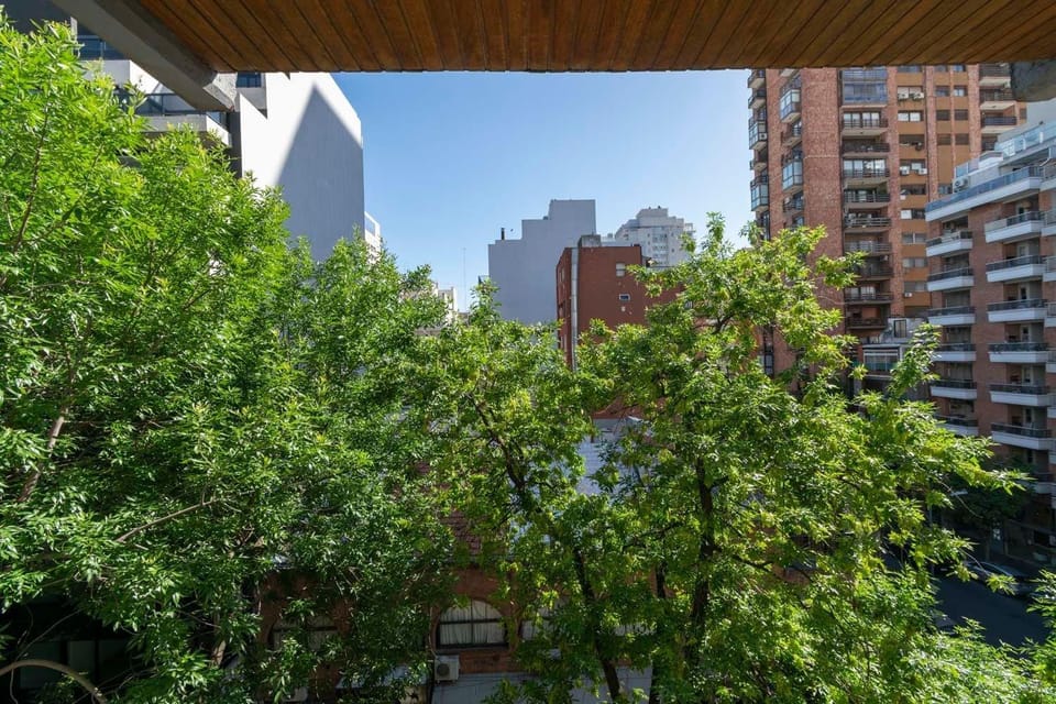 Bird's eye view, Garden view, Street view