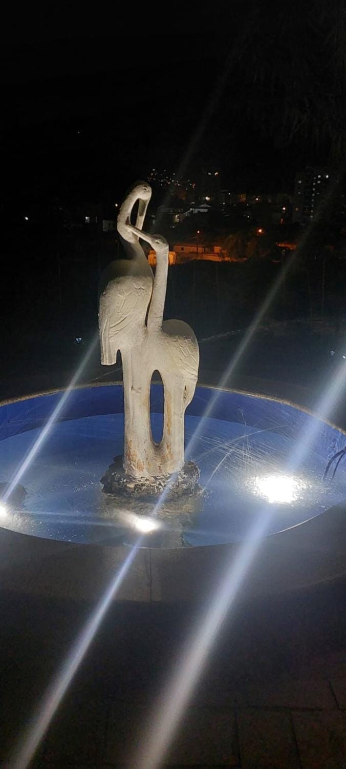 Night, View (from property/room)