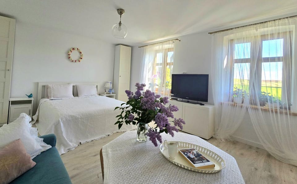 TV and multimedia, Photo of the whole room, Bedroom