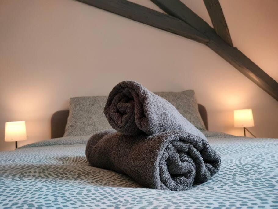 25 min Christmas Market and Strasbourg center-WiFi-TV Apartment in Grand Est