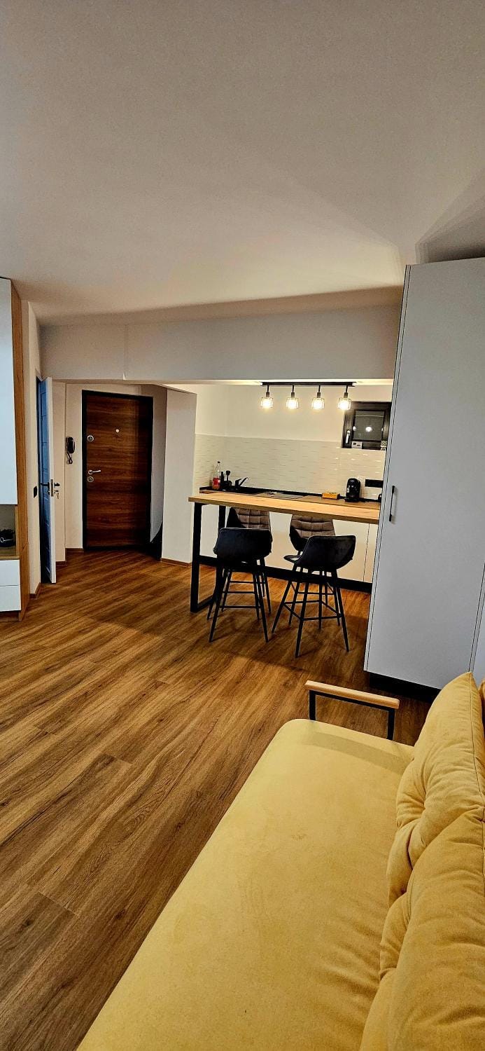 Central Nest Apartment Apartment in Brasov