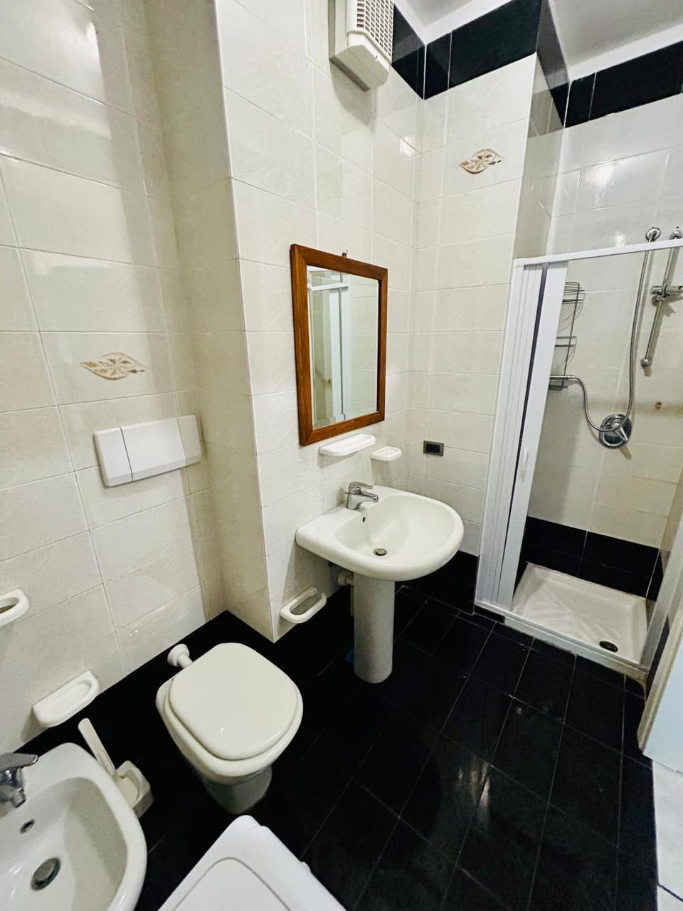 Shower, Toilet, Bathroom, bidet