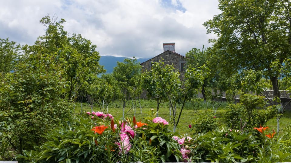 Garden, Garden view