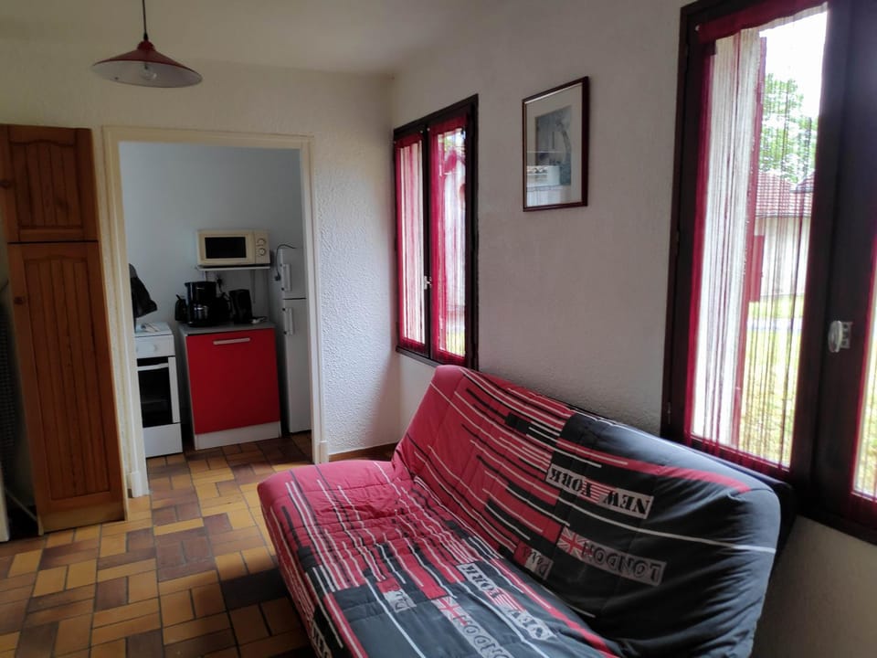 TV and multimedia, Kitchen or kitchenette, Living room, Seating area, oven, pet friendly