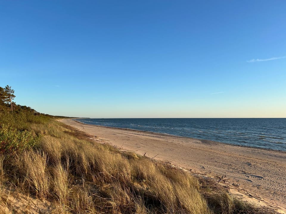 Beach, Beach