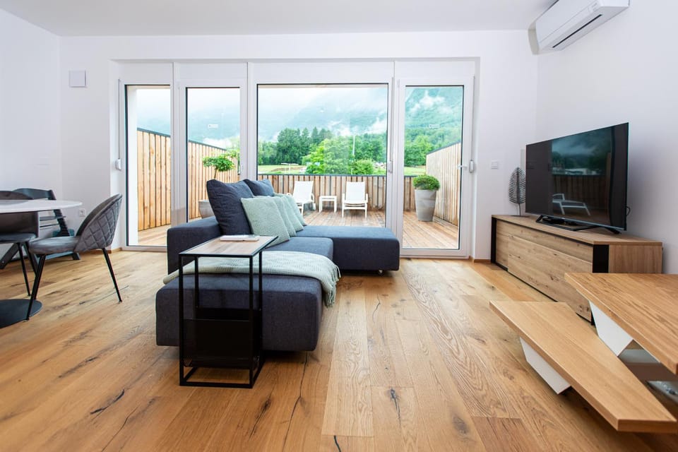 TV and multimedia, Living room, Mountain view, air conditioner