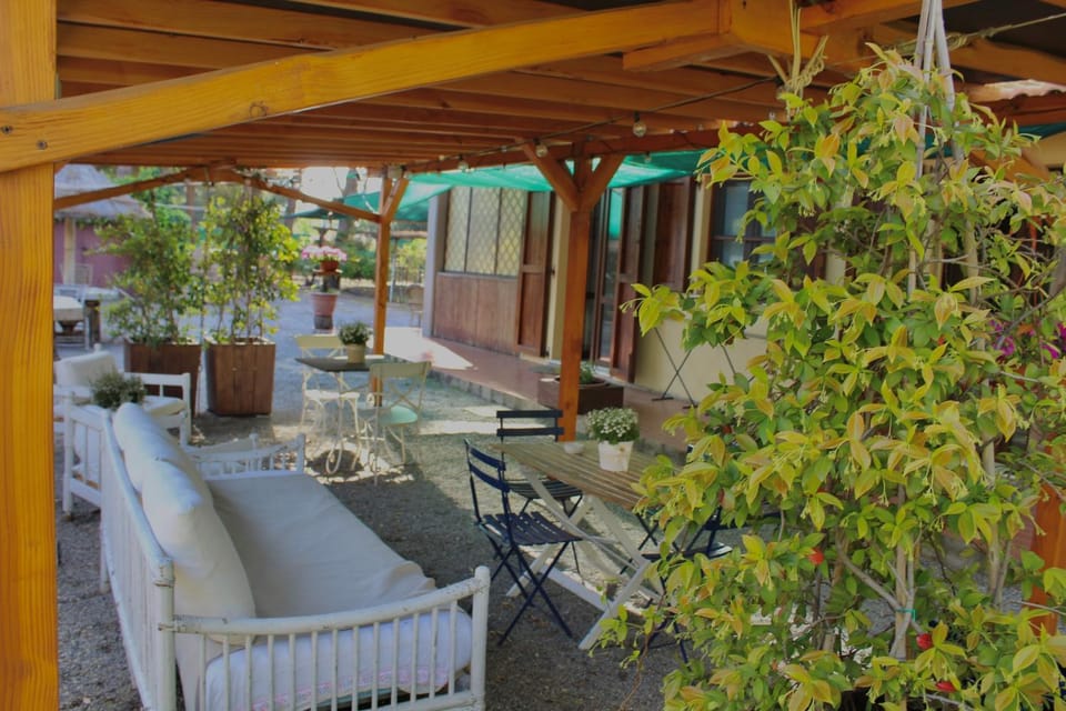 Patio, Garden, Seating area, Garden view