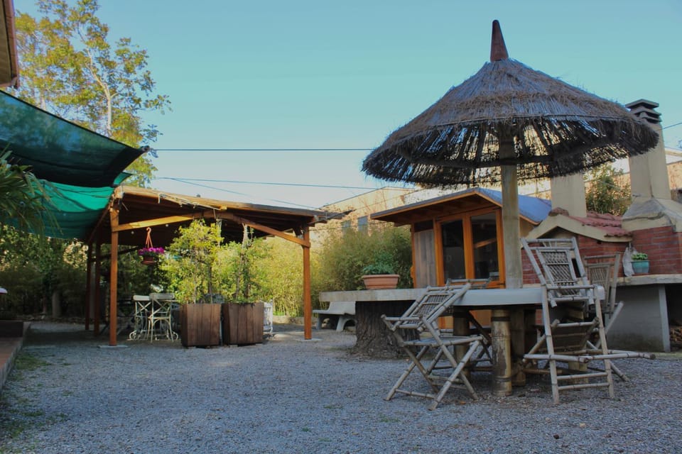 Patio, Garden, Garden view
