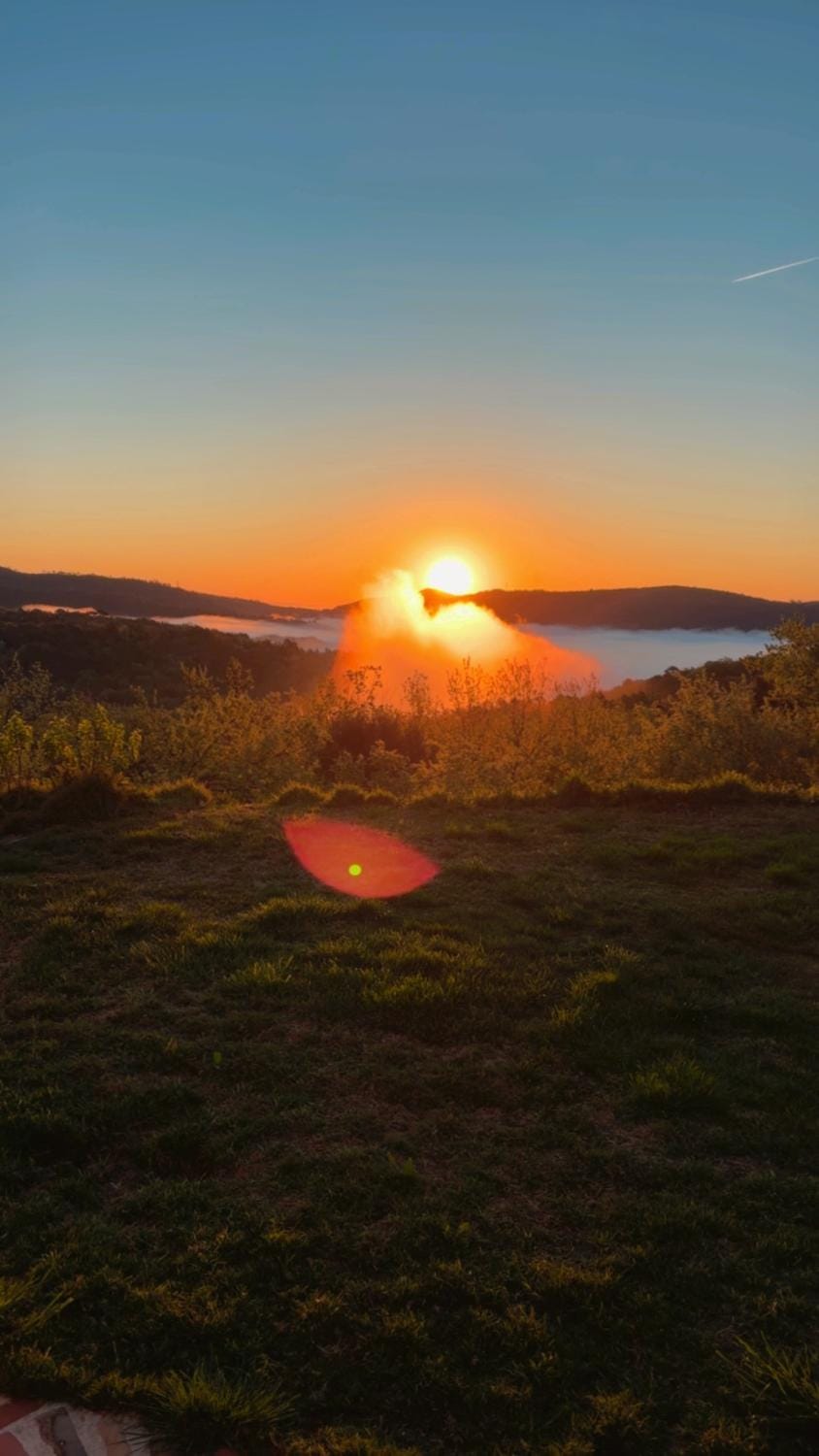 La Maison Du Soleil Apartment hotel in Grimaud